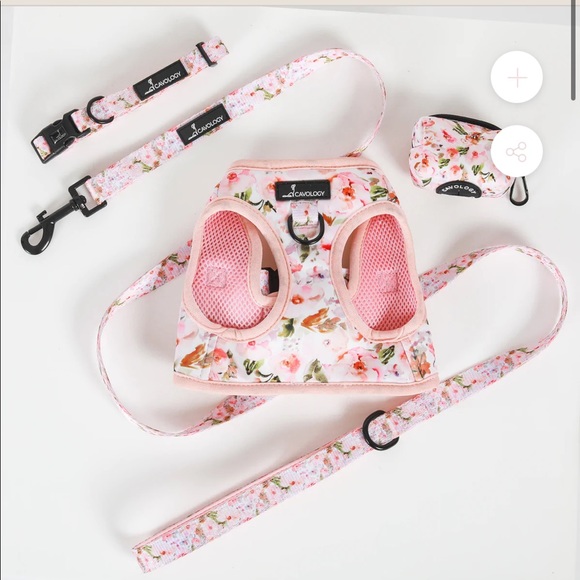 Cavology Dog bundle - Picture 1 of 5